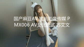 MDX-0208秘书上位之淫乱诱惑-赵一曼