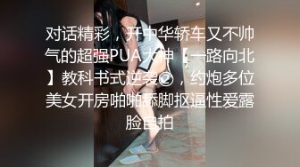 怒操新来漂亮风骚同事 叫床淫荡极美乳露脸(VIP)