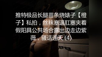 推特极品长腿苗条烧婊子【橙子】私拍，丝袜塞逼肛塞夹着假阳具公共场合露出边走边紫薇，骚话连天 (4)