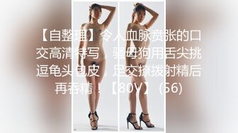 嫩嫩的丰满小辣妹 是个超级馒头白虎??韩模[ARTGRAVIA] VOL.330 Dami 人体艺术美图 