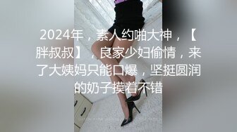 2024年，素人约啪大神，【胖叔叔】，良家少妇偷情，来了大姨妈只能口爆，坚挺圆润的奶子摸着不错