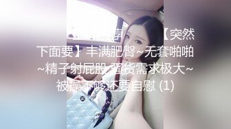 《顶级女模 震撼泄密》仅此一部，超极品波霸秀人网女神模特【Maleah】大尺度私拍，三点全露，摄影师忍不住各种咸猪手原版2K