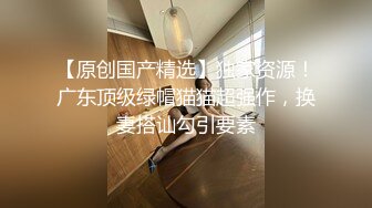 后入丰臀情趣小母狗