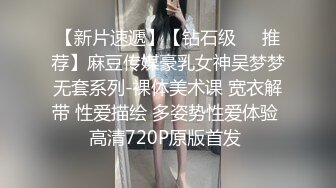   91大屌哥和D奶空姐黑丝+肉丝换着干 爽翻了