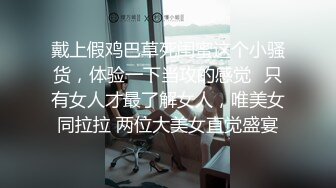 丝袜女友3