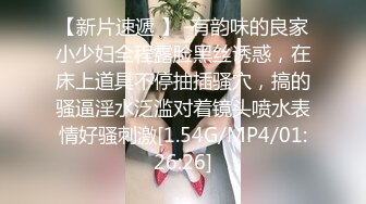 《极品CP重磅泄密》厕拍达人景区女公厕偸拍后续9 各种高质量气质小姐姐方便~姿态百出赏逼赏脸有美女有极品逼 (11)