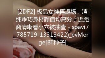 STP25613 大圈170CM极品模特，齐逼短裤顶级美腿，C罩杯大奶，骑乘抽插扶着椅子后入 VIP2209