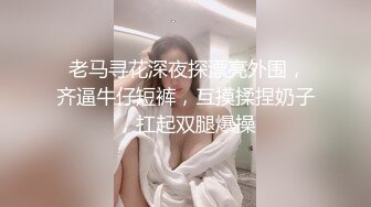 大神周末约炮极品身材的美女模特 先玩车震再回酒店啪啪 爽歪歪