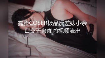 E奶苏念谨与神鸟小麦聊AV的工作然后就打炮了