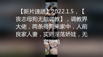 后入纹身大白马