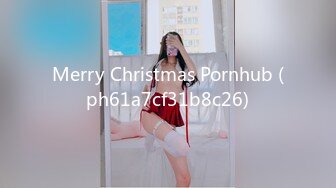 Merry Christmas Pornhub (ph61a7cf31b8c26)