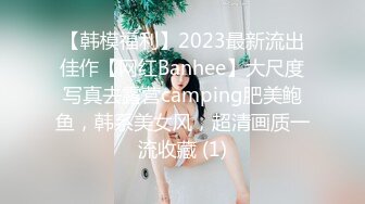 2021十二月最新流出TW厕拍大神（野狼）潜入景区女厕偷拍美女尿尿系列第6季性感的逼毛