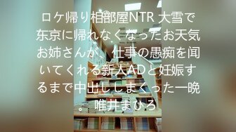 近亲［无言］相奸 邻にお父さんがいるのよ… 松元まりな