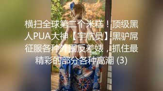 横扫全球第二个米糕！顶级黑人PUA大神【宇航员】黑驴屌征服各种外围反差婊，抓住最精彩的部分各种高潮 (3)