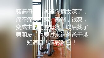 操了个穿着女仆装带着猫咪面具的极品