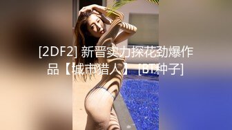 可爱的小兔子3