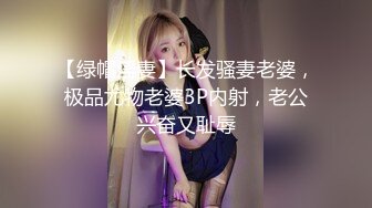 【沈樵系列】小姨子勾引警察姐夫