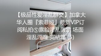 气质御姐模特豆豆 超大尺度 肥穴跟表情好骚