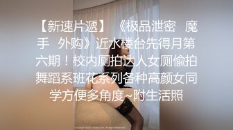 極品巨乳小模外拍.色影師忍不住摸幾把還偷插小穴