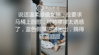  说话温柔颜值女神，应要求马桶上自慰，呻吟嗲嗲太诱惑了，蓝色假屌进进出出，搞得骚逼湿湿