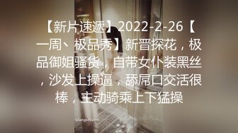 可爱小女仆为了5星好评让我爆肏