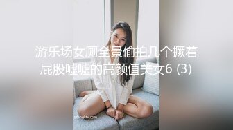 游乐场女厕全景偷拍几个撅着屁股嘘嘘的高颜值美女6 (3)