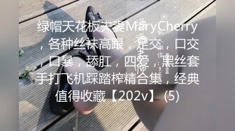 绿帽天花板夫妻MaryCherry，各种丝袜高跟，足交，口交，口暴，舔肛，四爱，黑丝套手打飞机踩踏榨精合集，经典值得收藏【202v】 (5)